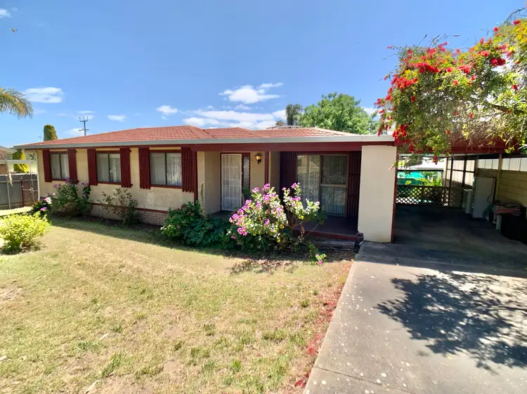 Main view of Homely house listing, 19 South Terrace, Meningie SA 5264