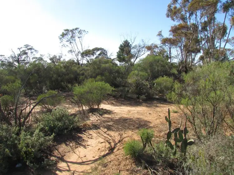 Main view of Homely land listing, LOT 81 Mahrong Street, Lascelles VIC 3487