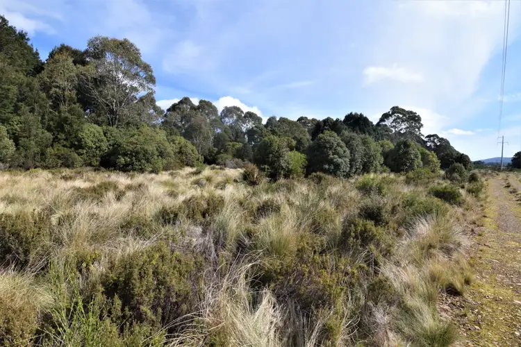 LOT 9 Waratah Road, Waratah TAS 7321