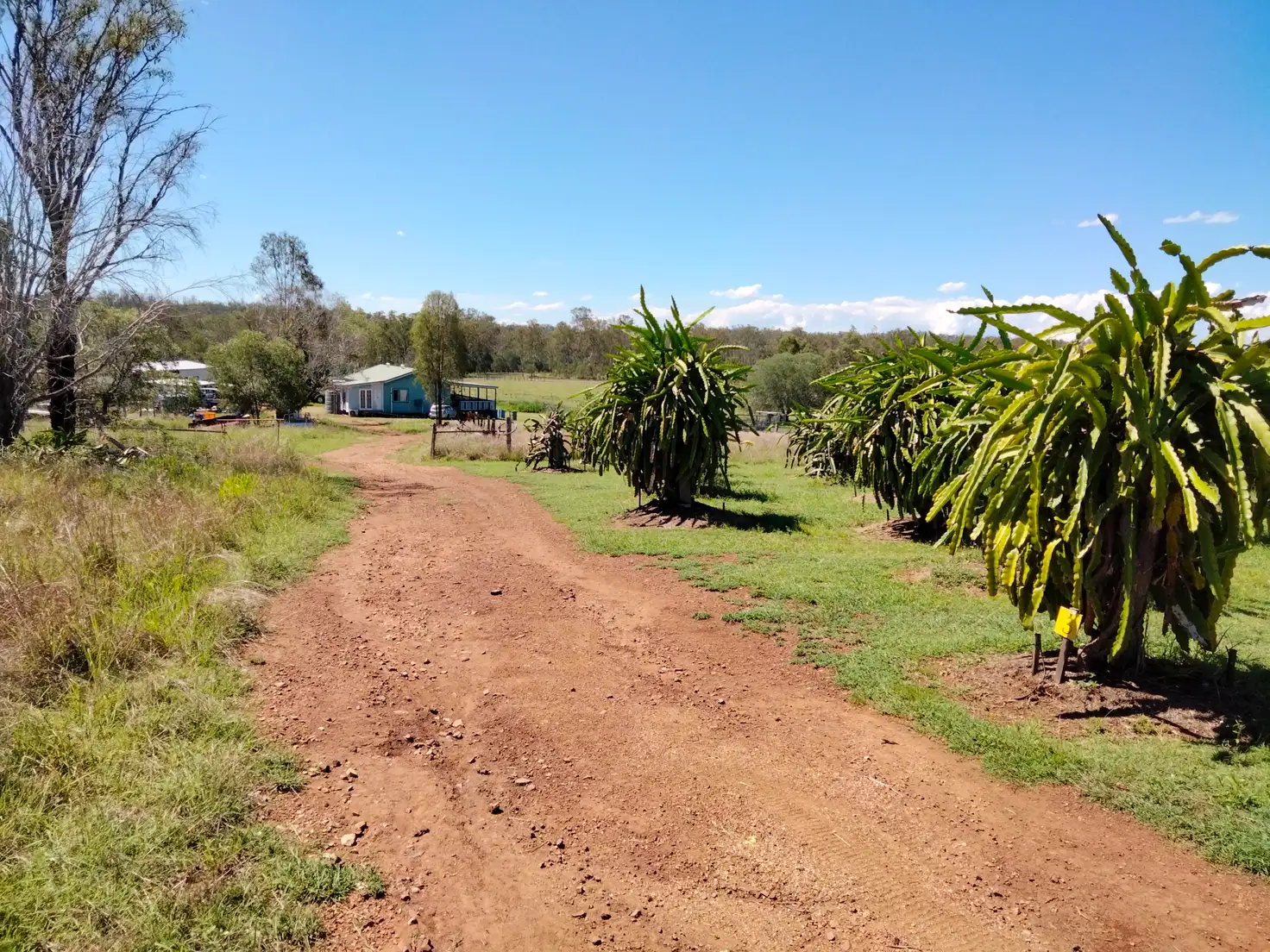 Main view of Homely rural property listing, Address available on request