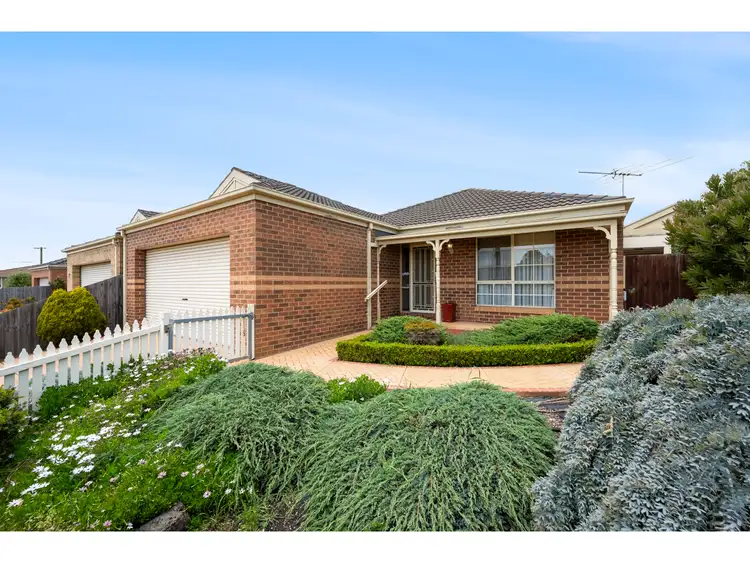 Second view of Homely house listing, 31 Peter Street, Grovedale VIC 3216