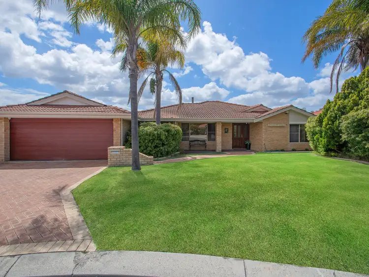 Main view of Homely house listing, 5 ZEIL COURT, Alexander Heights WA 6064
