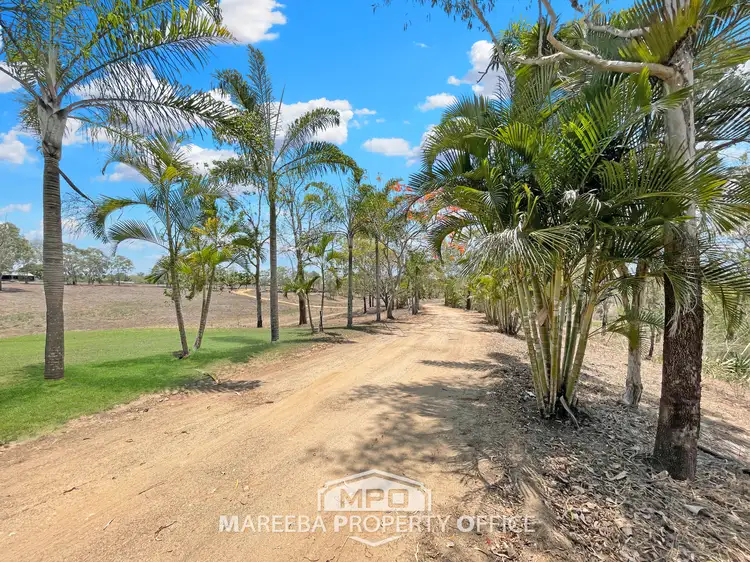 Third view of Homely rural property listing, 343 Emerald End Road, Mareeba QLD 4880