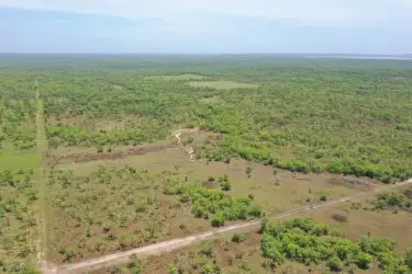 1645 Letchford Road, Collett Creek NT 822