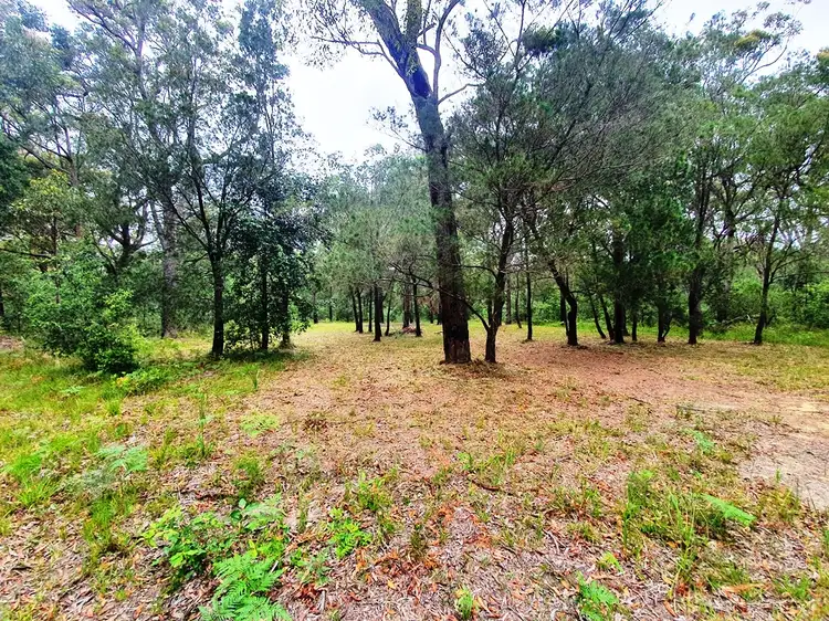 Third view of Homely rural property listing, 537 Clarendon Cres, Basin View NSW 2540