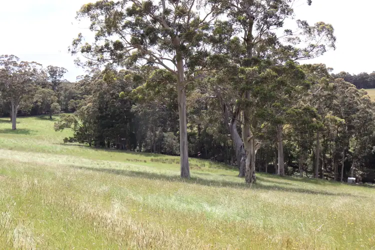 Fourth view of Homely rural property listing, 87 Powleys Rd, Denmark WA 6333