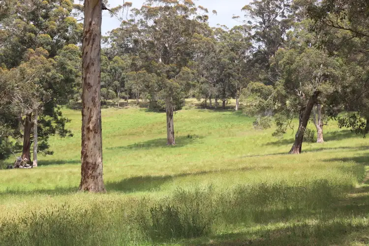 Fifth view of Homely rural property listing, 87 Powleys Rd, Denmark WA 6333