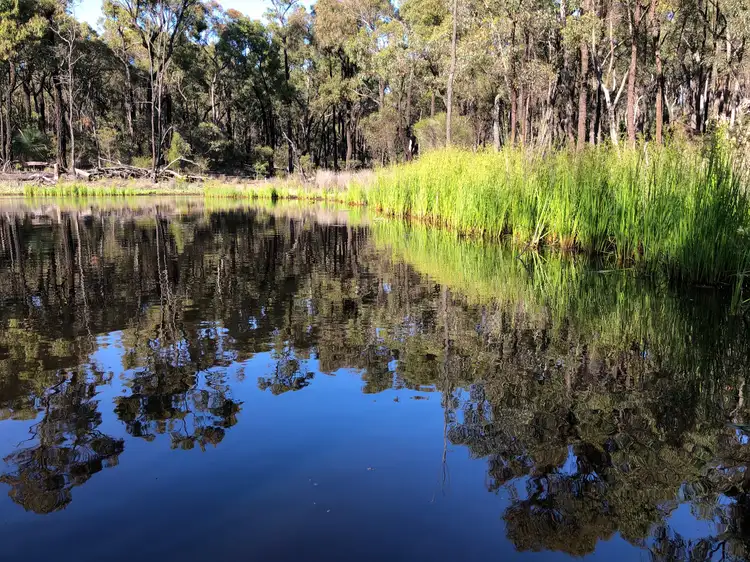 LOT B/356 Delaney Road, Nagambie VIC 3608