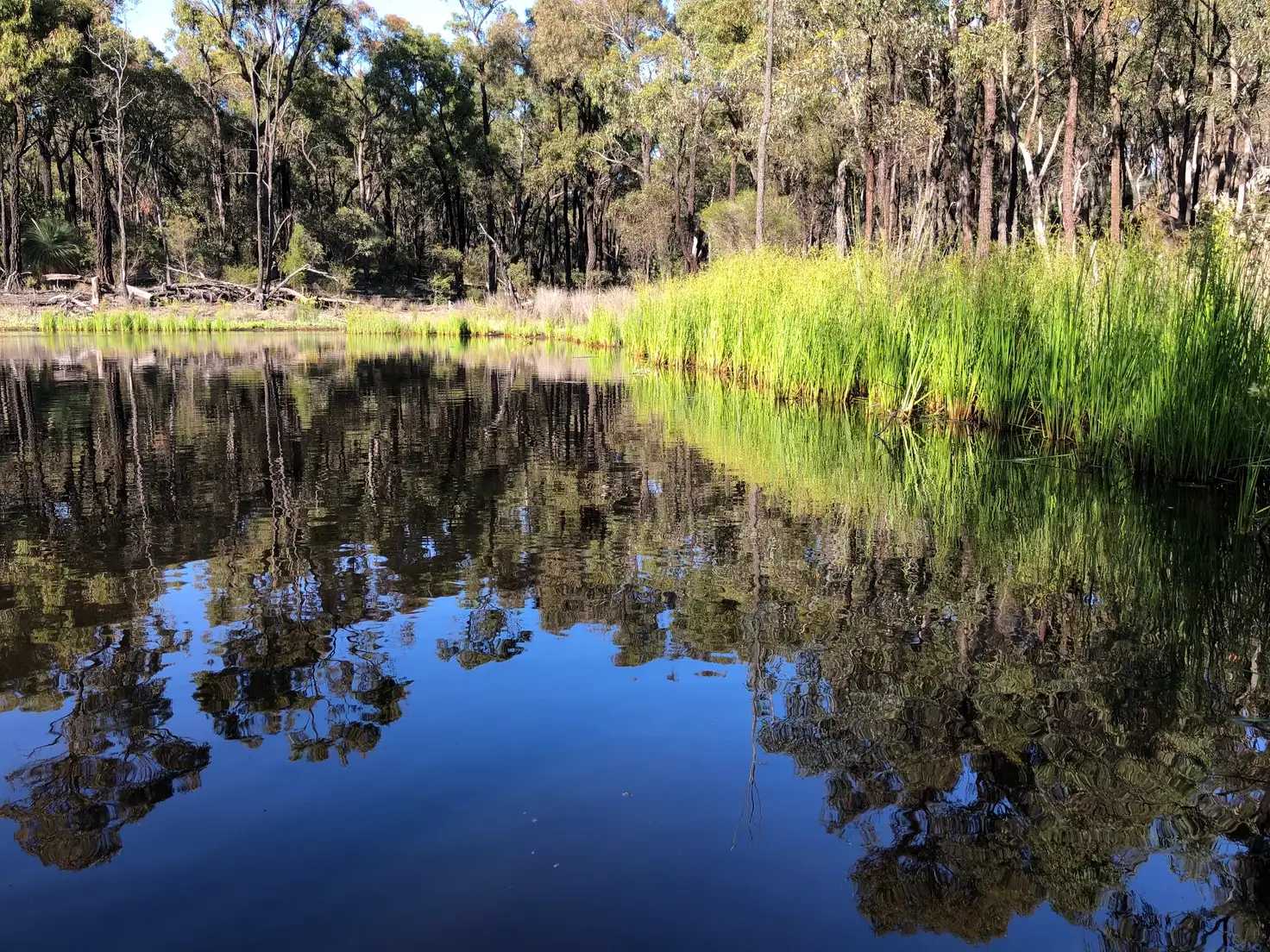 Main view of Homely rural property listing, LOT B/356 Delaney Road, Nagambie VIC 3608
