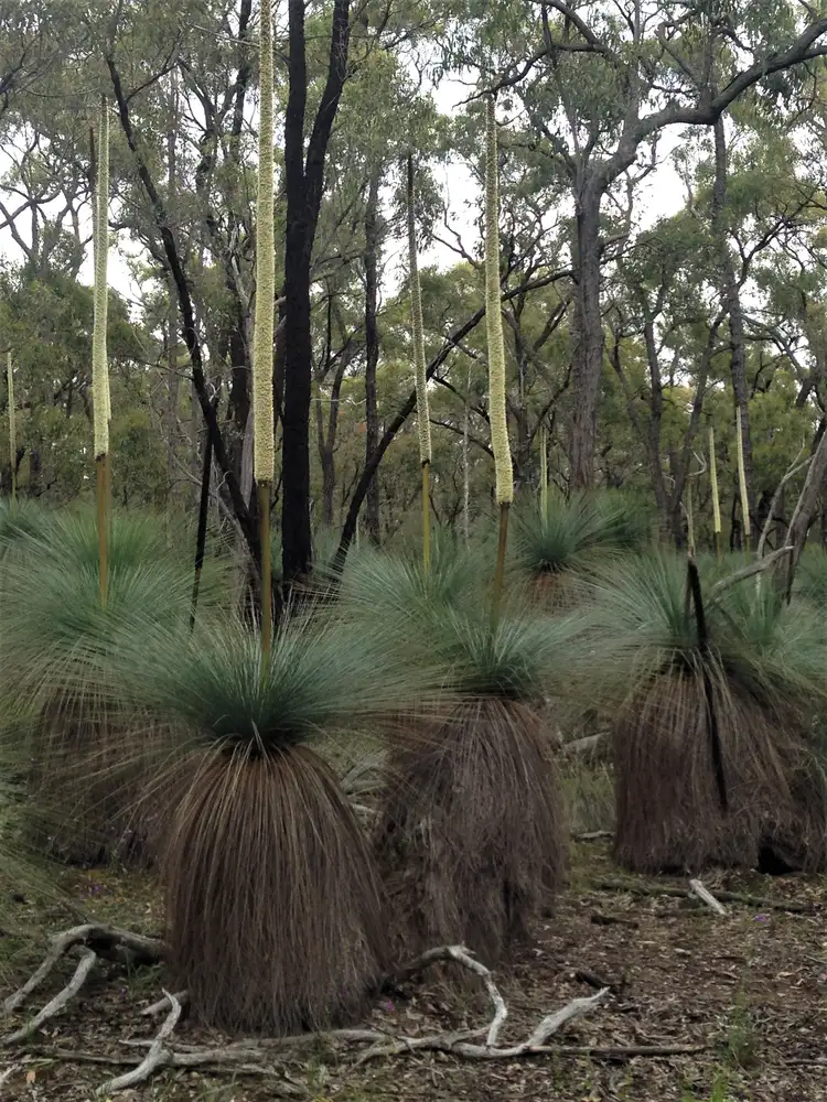 Fourth view of Homely rural property listing, LOT B/356 Delaney Road, Nagambie VIC 3608
