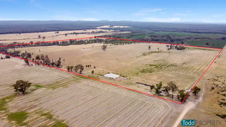 Main view of Homely rural property listing, 165 Raglus Road, Gobarup VIC 3559