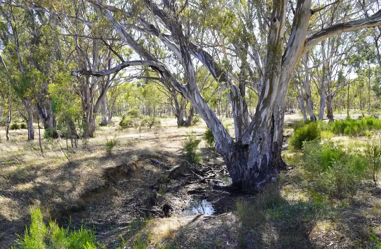 Third view of Homely rural property listing, 165 Raglus Road, Gobarup VIC 3559