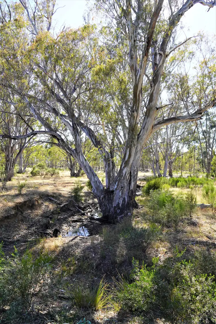 Fifth view of Homely rural property listing, 165 Raglus Road, Gobarup VIC 3559