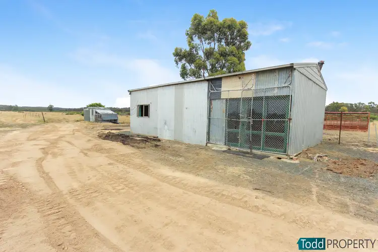 Seventh view of Homely rural property listing, 165 Raglus Road, Gobarup VIC 3559