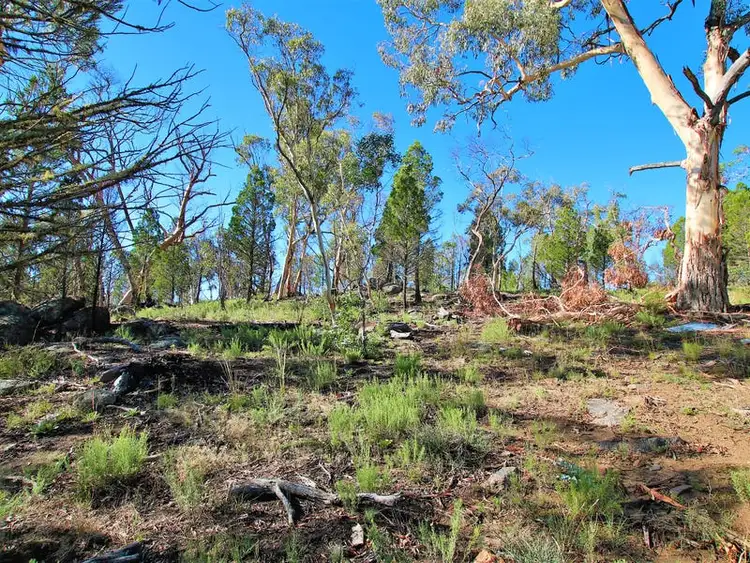 Seventh view of Homely land listing, Lot 2 Coventry Close, Binjura NSW 2630