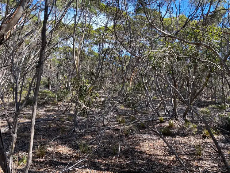 Second view of Homely rural property listing, LOT 101 Mouth Flat Road - KI, Willson River SA 5222