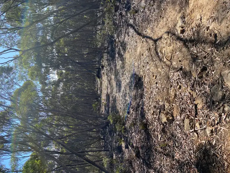 Fifth view of Homely rural property listing, LOT 101 Mouth Flat Road - KI, Willson River SA 5222