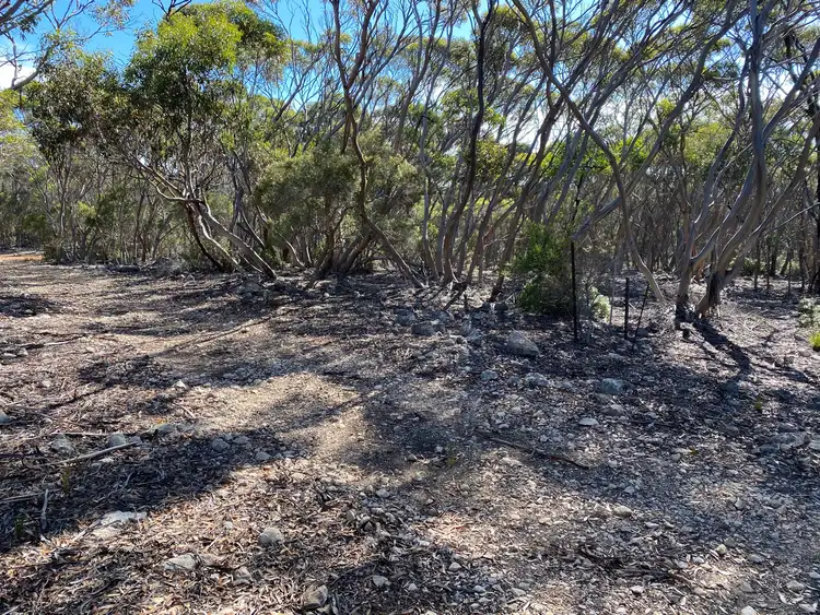 Seventh view of Homely rural property listing, LOT 101 Mouth Flat Road - KI, Willson River SA 5222