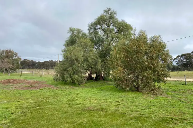 Fifth view of Homely land listing, 1286 Dunolly-Timor Road, Timor VIC 3465