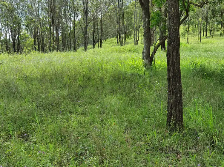 LOT 21 Palms Road, Cooyar QLD 4402