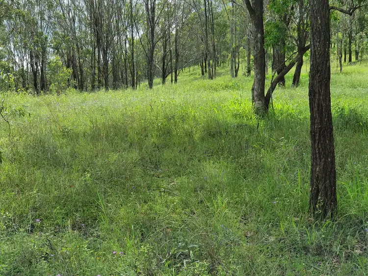 Second view of Homely rural property listing, LOT 21 Palms Road, Cooyar QLD 4402