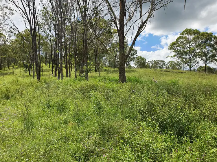 Third view of Homely rural property listing, LOT 21 Palms Road, Cooyar QLD 4402