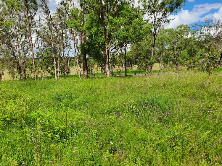 Fourth view of Homely rural property listing, LOT 21 Palms Road, Cooyar QLD 4402