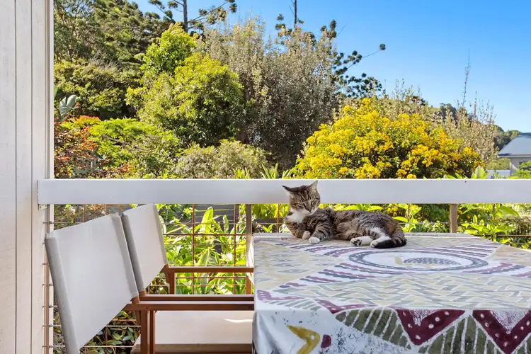 Second view of Homely house listing, 11 Hakea Crescent, Suffolk Park NSW 2481