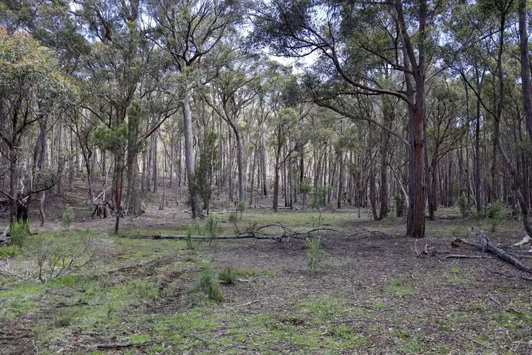 Third view of Homely rural property listing, 35 Mckanes Lane, Windellama NSW 2580