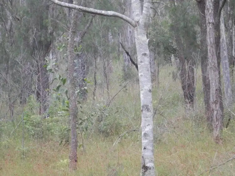 Seventh view of Homely land listing, Lot 11 Cyril Smith Circuit, Tabulam NSW 2469