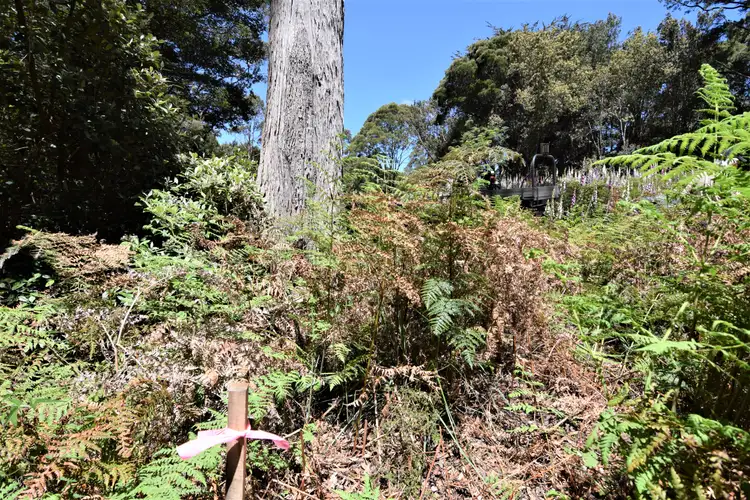 Fourth view of Homely land listing, LOT 1 Alexander Street, Temma TAS 7330