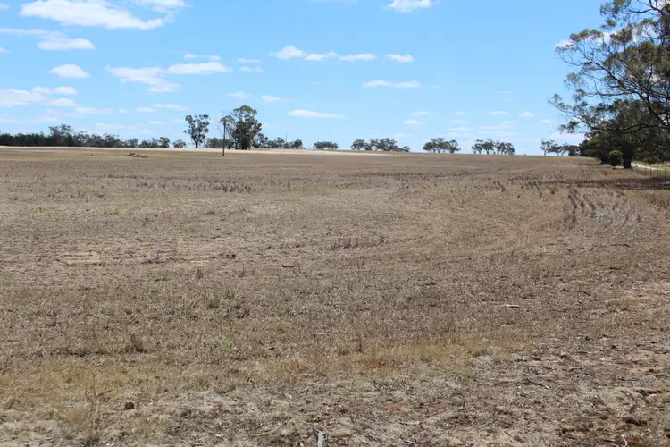 Second view of Homely rural property listing, Olneys Road, Yanac VIC 3418
