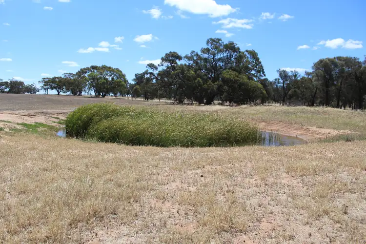 Fourth view of Homely rural property listing, Olneys Road, Yanac VIC 3418