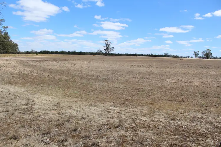 Fifth view of Homely rural property listing, Olneys Road, Yanac VIC 3418