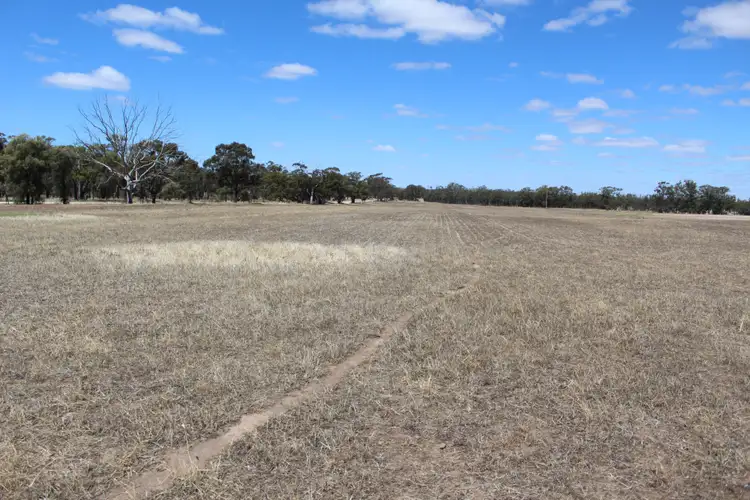 Seventh view of Homely rural property listing, Olneys Road, Yanac VIC 3418