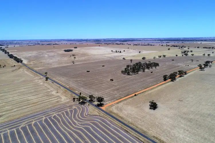 Main view of Homely rural property listing, Yanipy Road, Kaniva VIC 3419