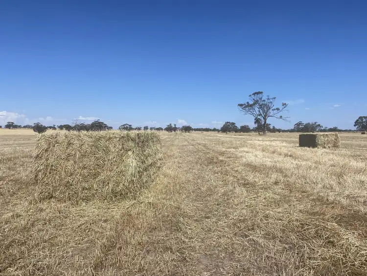 Second view of Homely rural property listing, Yanipy Road, Kaniva VIC 3419