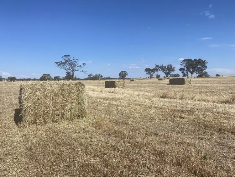 Third view of Homely rural property listing, Yanipy Road, Kaniva VIC 3419