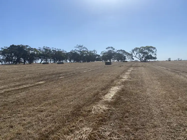 Fourth view of Homely rural property listing, Yanipy Road, Kaniva VIC 3419