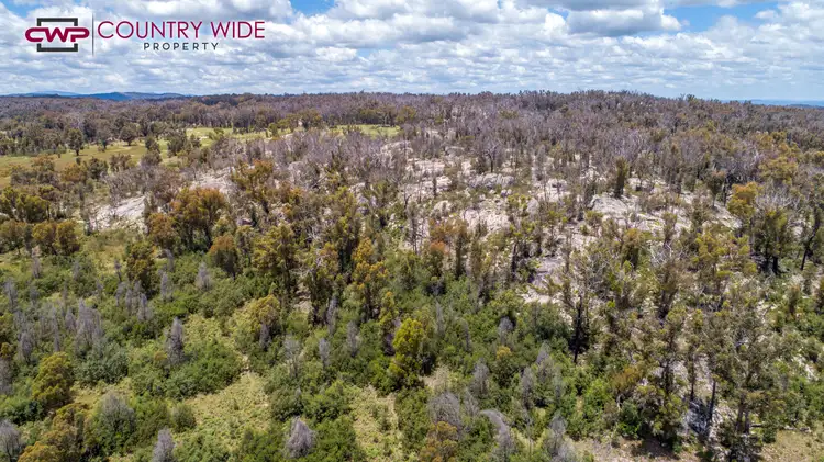 Fifth view of Homely rural property listing, LOT 87/470 Silent Grove Road, Torrington NSW 2371