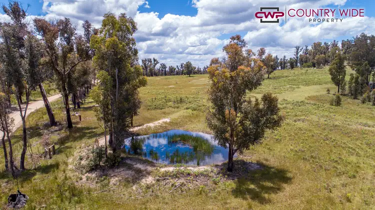 354 Silent Grove Road, Torrington NSW 2371