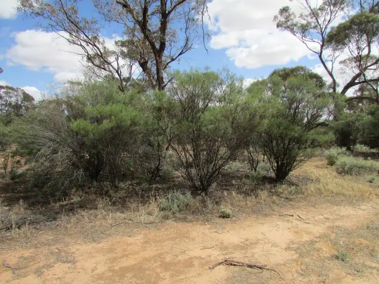 Main view of Homely rural property listing, LOT 80 Mahrong St, Lascelles VIC 3487
