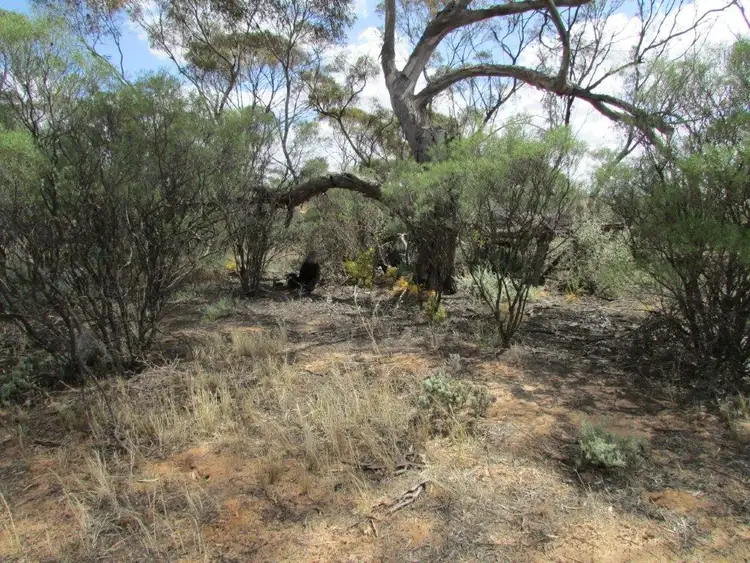 Seventh view of Homely rural property listing, LOT 80 Mahrong St, Lascelles VIC 3487
