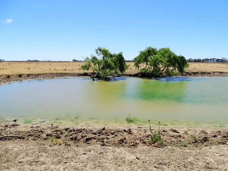 Sixth view of Homely rural property listing, Macorna Road, Macorna VIC 3579