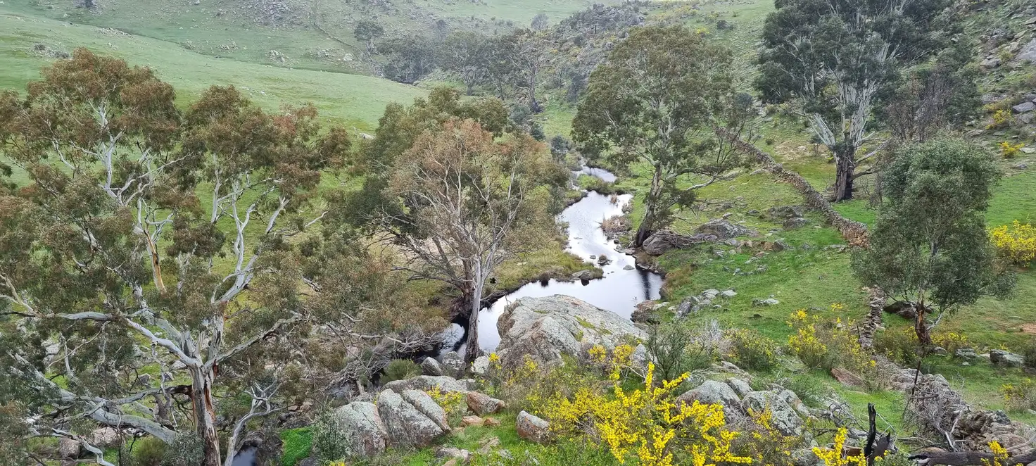 Main view of Homely rural property listing, Moss Smith Road, Eden Valley SA 5235
