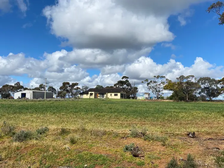 Fifth view of Homely rural property listing, 429 Cumnock Road, Tresco West VIC 3584
