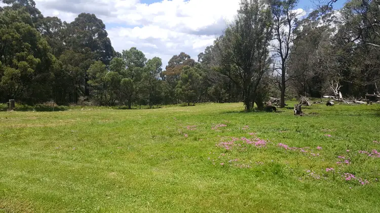 Lot 1 Braidwood Road, Sassafras NSW 2622