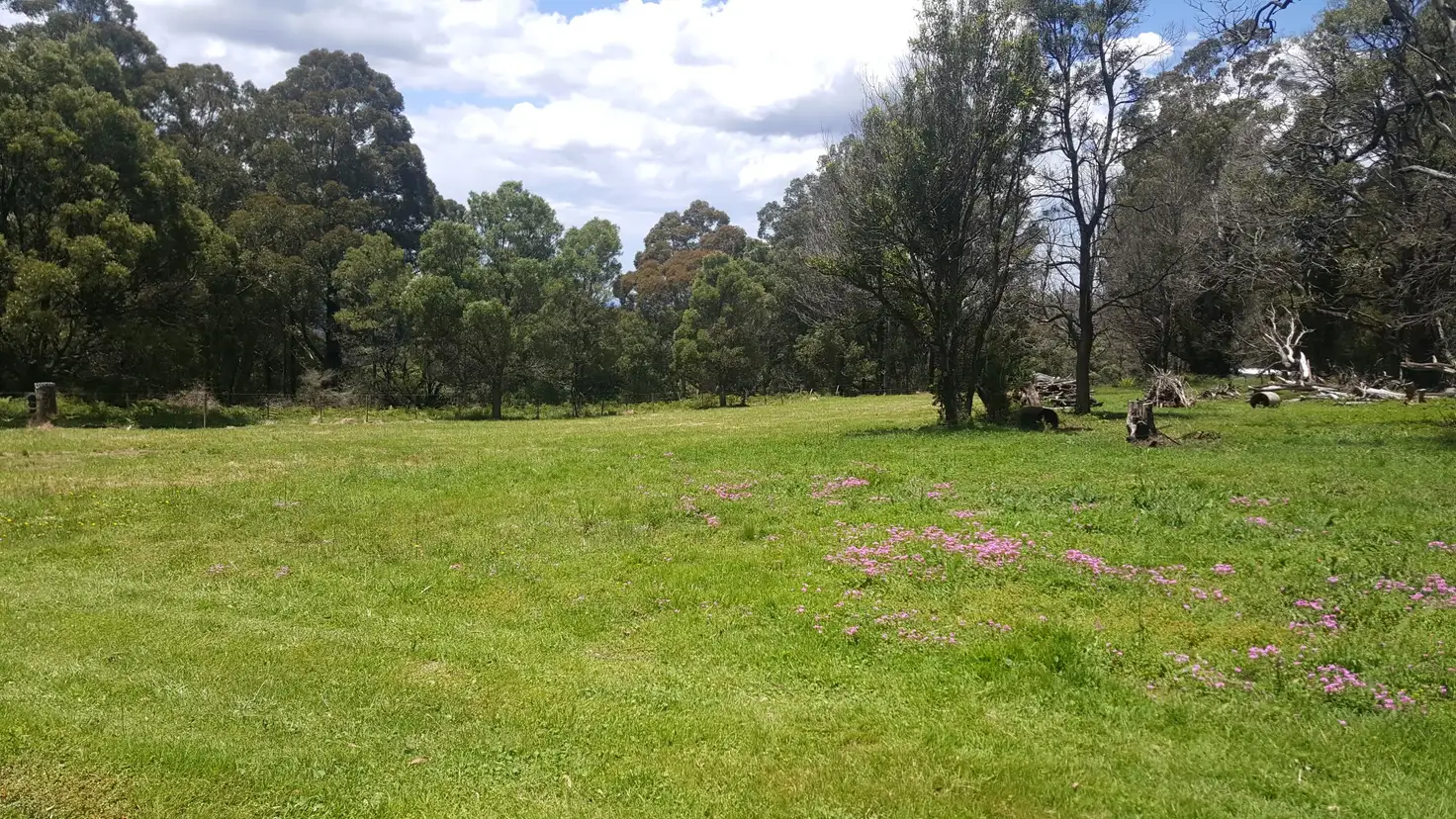 Main view of Homely rural property listing, Lot 1 Braidwood Road, Sassafras NSW 2622