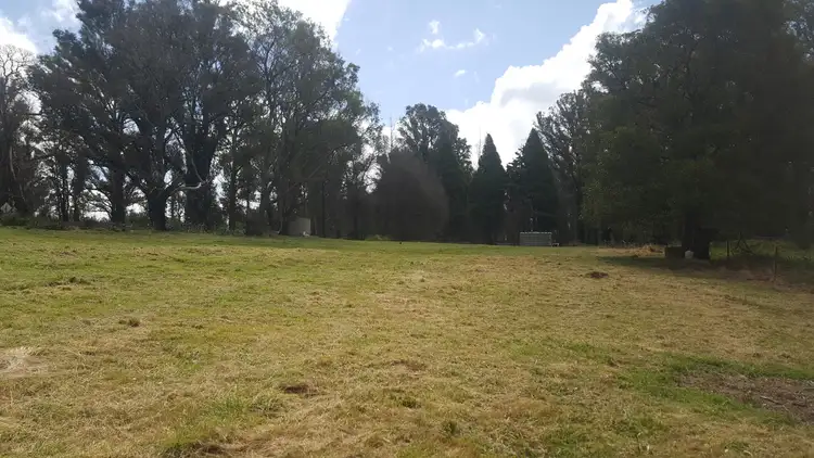 Second view of Homely rural property listing, Lot 1 Braidwood Road, Sassafras NSW 2622