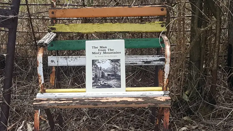 Seventh view of Homely rural property listing, Lot 1 Braidwood Road, Sassafras NSW 2622